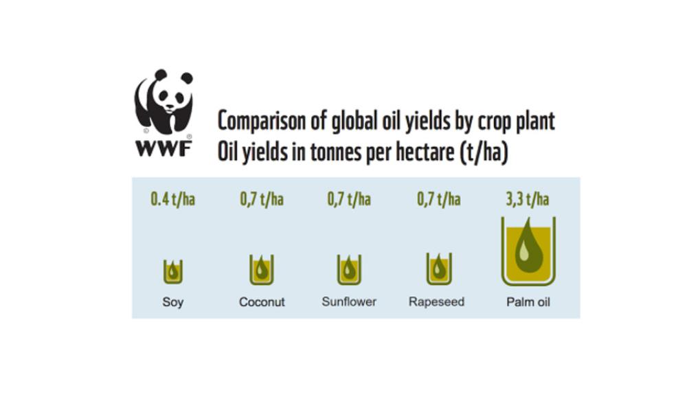 8 Things To Know About Palm Oil | WWF